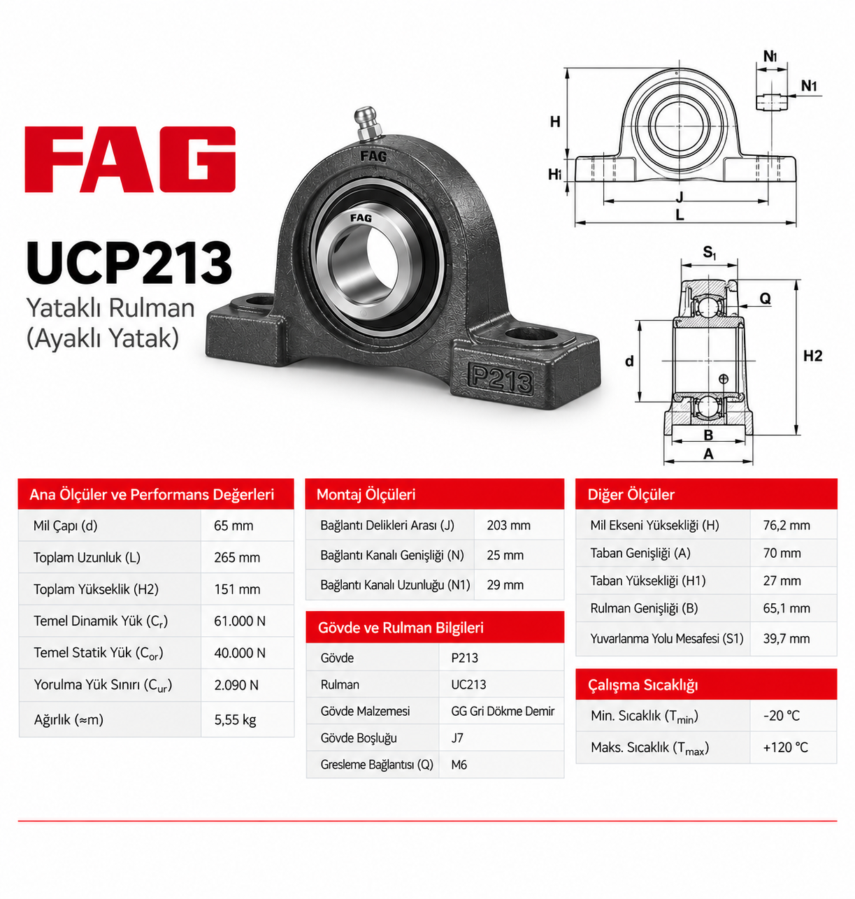 FAG UCP213 Yataklı Rulman