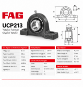 FAG UCP213 Yataklı Rulman