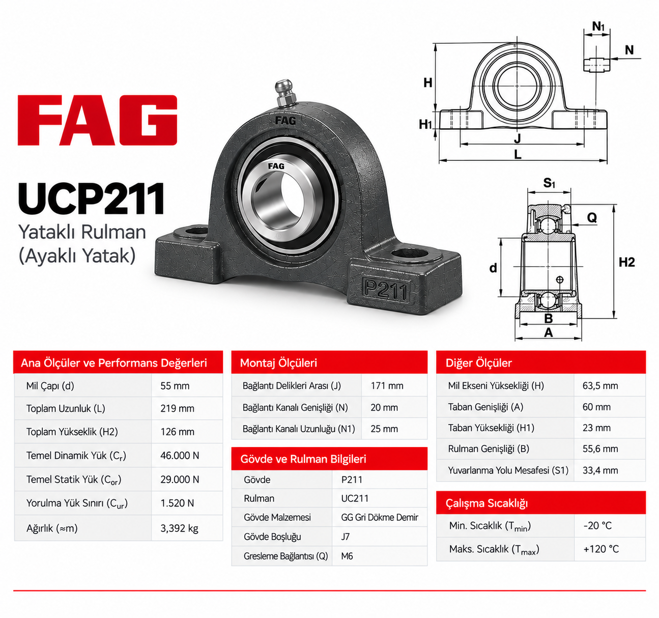FAG UCP211 Yataklı Rulman