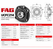 FAG UCFC214 Yataklı Rulman