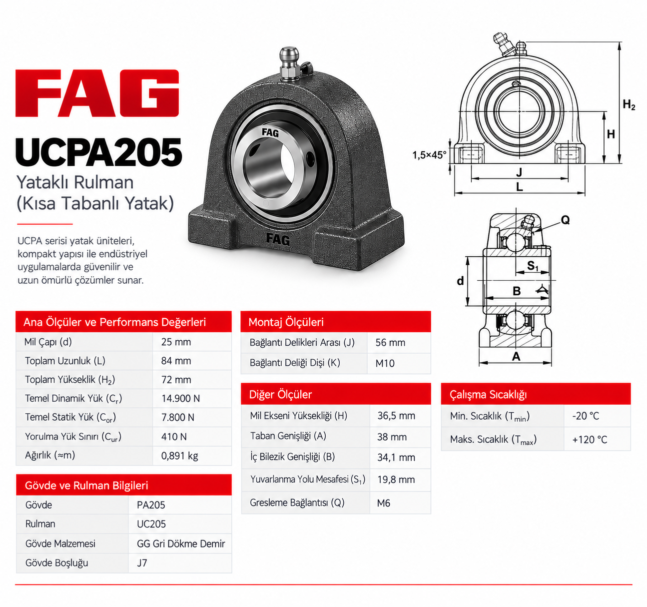 FAG UCPA205 Yataklı Rulman