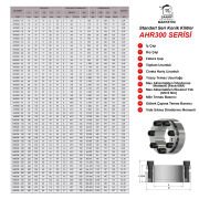 300-25 FA1 Tipi Konik Kilit 25*50