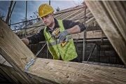 Dewalt DCF887-NT 18V Kömürsüz Darbeli Tornavida ( Tek Makine )