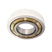 SKF 6321 M/C3VL0241 Akım İzoleli Rulman