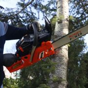 RONEY POWER CS PRO 62 Benzinli Ağaç Kesme Motoru 61,5 CC